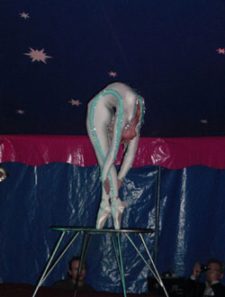 Обнаженные женщины в цирке (58 фото)